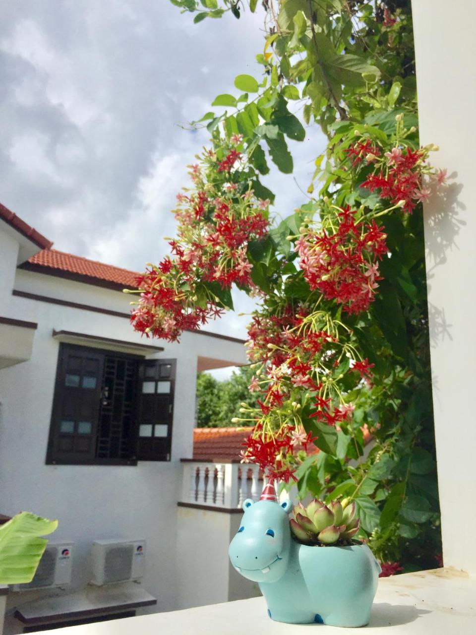 Holy Land Homestay Χόι Αν Εξωτερικό φωτογραφία