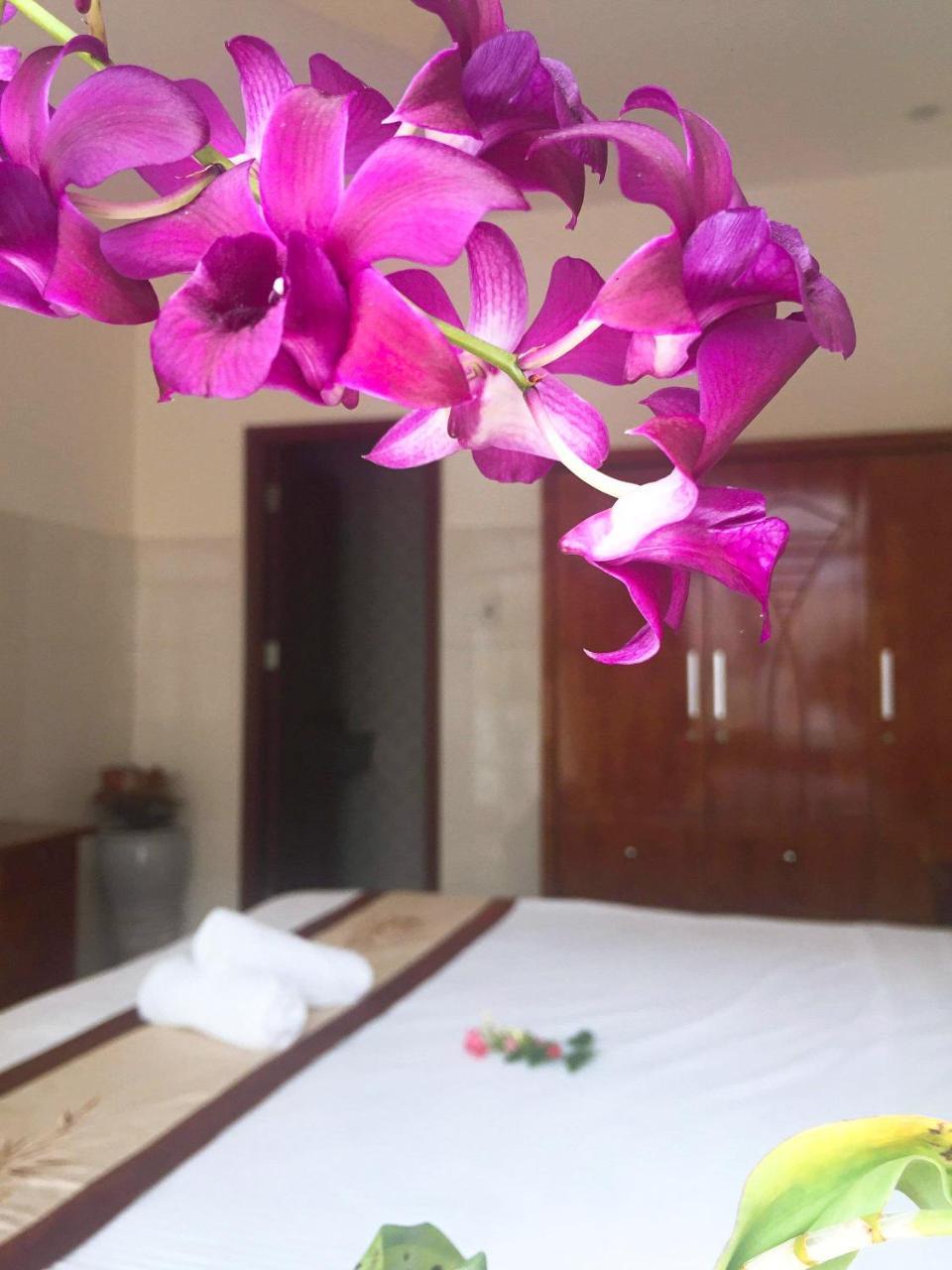 Holy Land Homestay Χόι Αν Εξωτερικό φωτογραφία